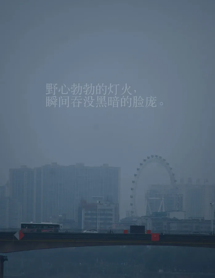文青专用